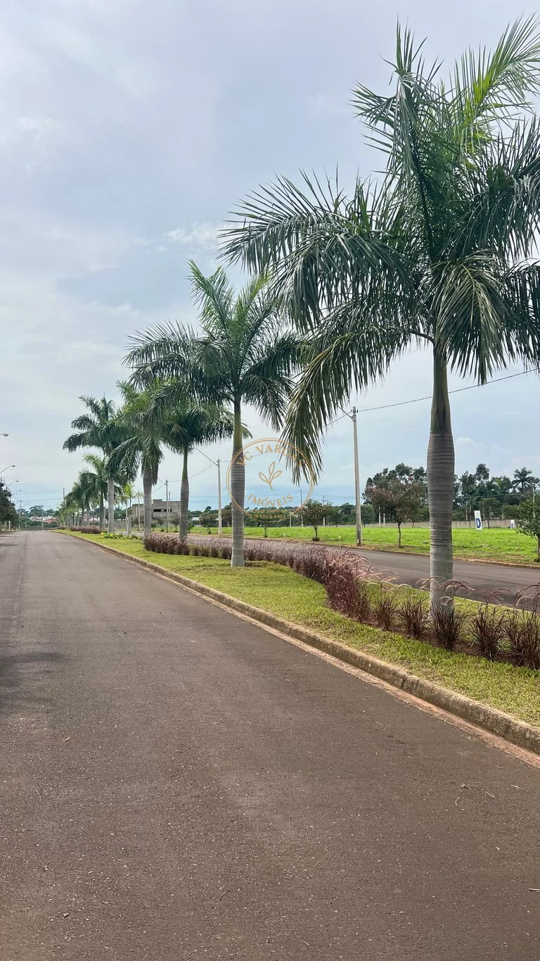 Via interna arborizada do Campo Bello Residencial Clube