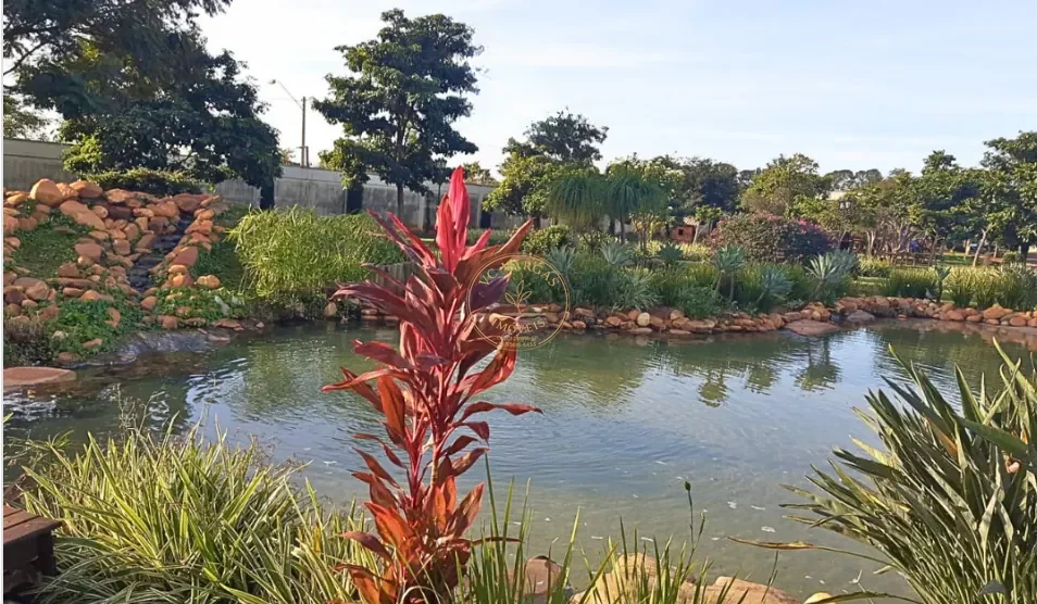 Lago e paisagismo do Parque Inglês
